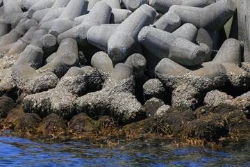 Sea and shore breaker concrete, Osaka, Japan