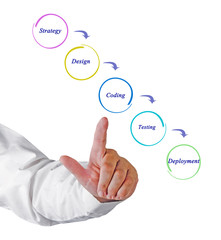 Diagram of website development
