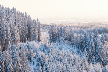 View of the forest and the landscape in winter