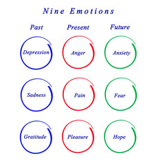 Nine Emotions.
