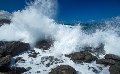 flying foam by the shore