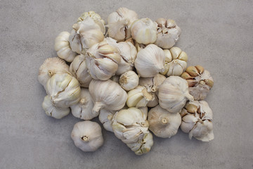 Gralic on a tile background - herb, seasoning