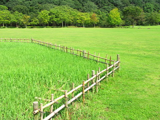 垣根のある草原