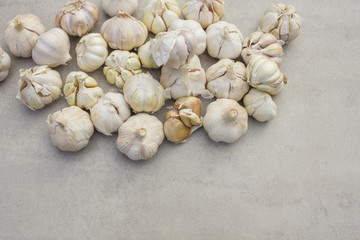 Gralic on a tile background - herb, seasoning