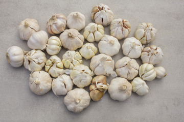 Gralic on a tile background - herb, seasoning