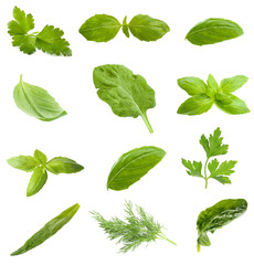 Collage with fresh green leaves of aromatic herbs, isolated on white
