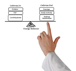 Balance between Energy intake and Energy expenditure