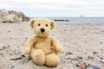 teddy bear / A teddy bear sits on a stone on the Baltic beach