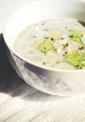 Chicken cream stew 