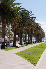 Landscape with the image of Tivat embankment, Montenegro