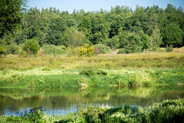 Green Forest and River