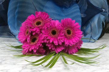 Bouquet of purple gerber with a blue background on the marble table