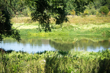 Green Forest and River