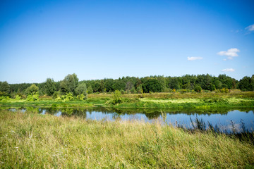 Green Forest and River