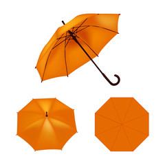 Orange umbrella vector isolated