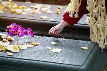 closeup of hand putting flower on grave