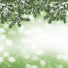 Obraz premium Winter Forest. Winter landscape.