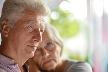 portrait of senior couple 