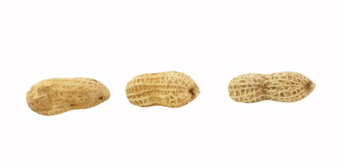 Roasted Peanuts