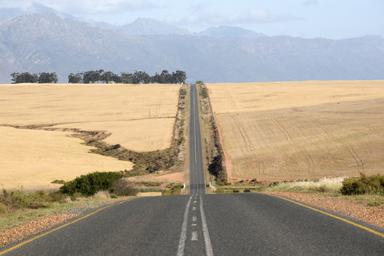 The Cape Namibian Highway passing through the Swartland region South Africa