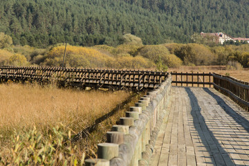 Fototapeta premium boardwalk over the marshes surrounding Lake Abant, Bolu, Turkey
