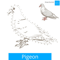 Pigeon bird learn to draw vector