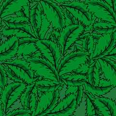 Naklejka na ściany i meble Seamless pattern of mint leaves