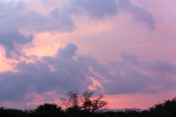Fototapeta na wymiar Cloud in twilight rainy season