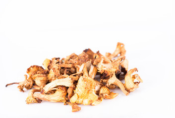 champignons de saison