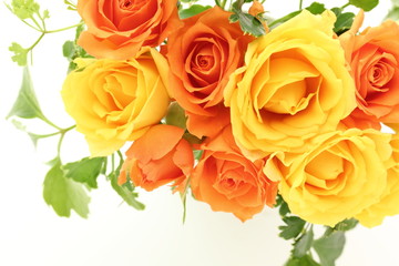薔薇の背景