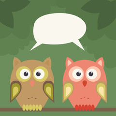 Pair of owls on tree