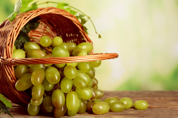 Bunch of white grape in basket  on wooden table