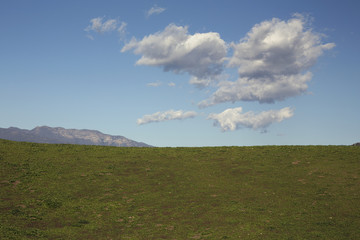 Green grass, white puffy clouds and Topa Topa Mountains, 04.05.2014