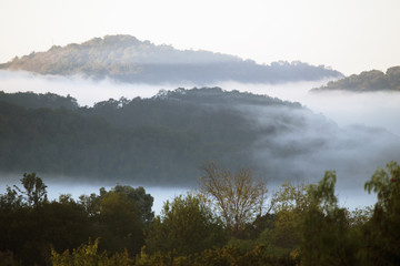 Marine layer surrounds mountains in fog and clouds, Oak View, California, USA, 10.21.2013