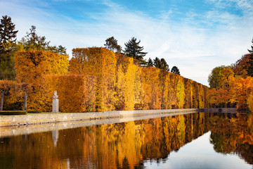 Fototapeta Pond in the Oliwa park in autumn scenery. Oliwa, Poland. obraz