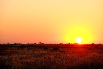 Fototapeta na wymiar Beautiful sunrise on a field