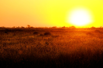 Beautiful sunrise on a field
