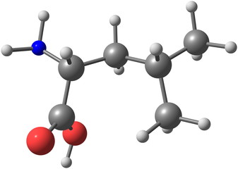 Obraz premium Leucine molecular structure on white background
