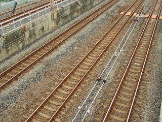 Fototapeta premium 常磐線の線路