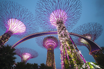Garden by the bay, SINGAPORE OCTOBER 11, 2015: twilight scene of