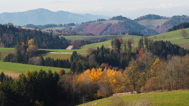 Schwarzwald