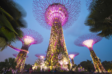 Garden by the bay, SINGAPORE OCTOBER 11, 2015: twilight scene of