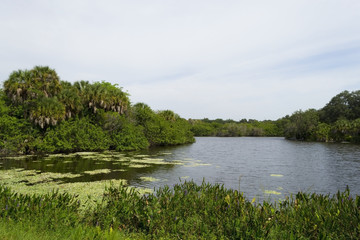 Lake in Florida Everglades national park