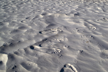 Human footprints on white tropical beach sand
