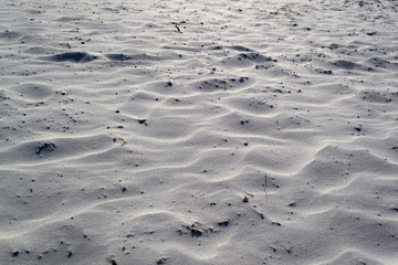 White tropical beach sand