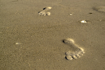 Row of footprints on yellow sand - tropical beach