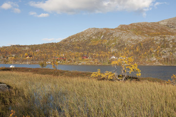 Norway. Norwegian nature / There are mountains plunging into the sea from hundreds of metres,...
