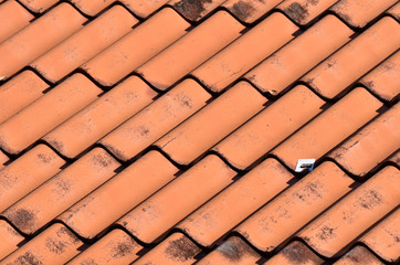 Background tile roof.