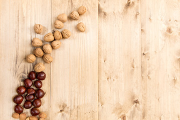 Composition of autumn fruits