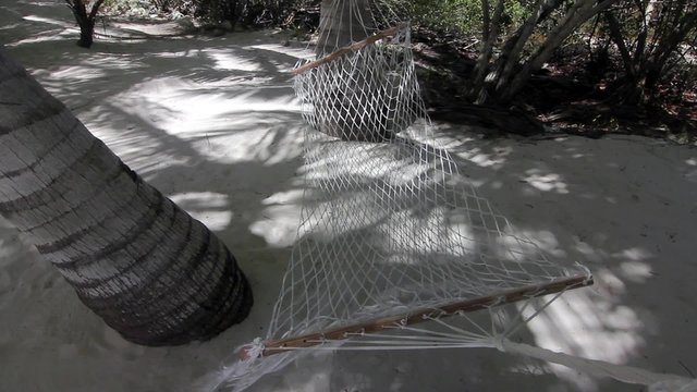 eine H&auml;ngematte zwischen Palmen schaukelt im Wind